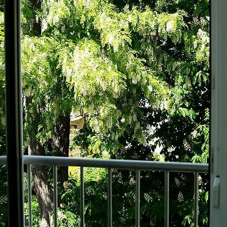 Alte Stadtmauer - ジンスハイム