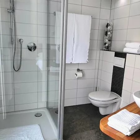 Alte Stadtmauer - ジンスハイム