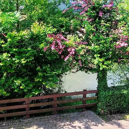 Alte Stadtmauer - Apartamento