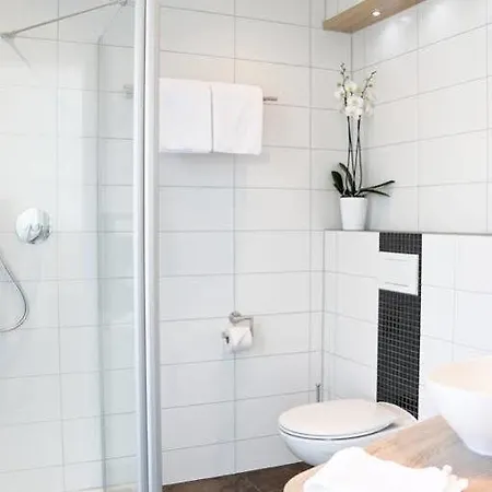 Alte Stadtmauer - ジンスハイム